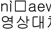 영상대체